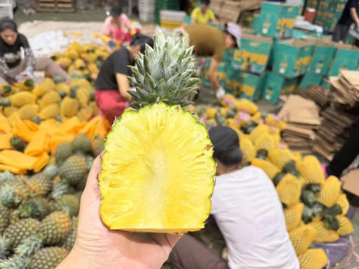 芒果凤梨超甜，口感一级棒 到货了，糖度17°+ 甜度高，凤梨香味浓郁，果肉细腻爽滑，口感特别棒！ 商品图1