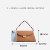 【预售3天】2025新款高级感小众手提腋下斜挎小巧精致女包X9260A 商品缩略图3