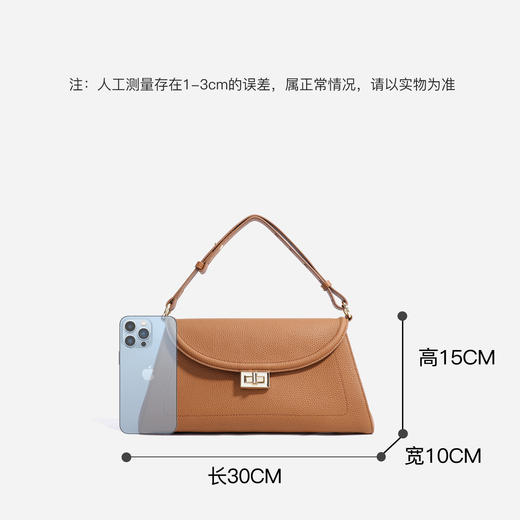 【预售3天】2025新款高级感小众手提腋下斜挎小巧精致女包X9260A 商品图3