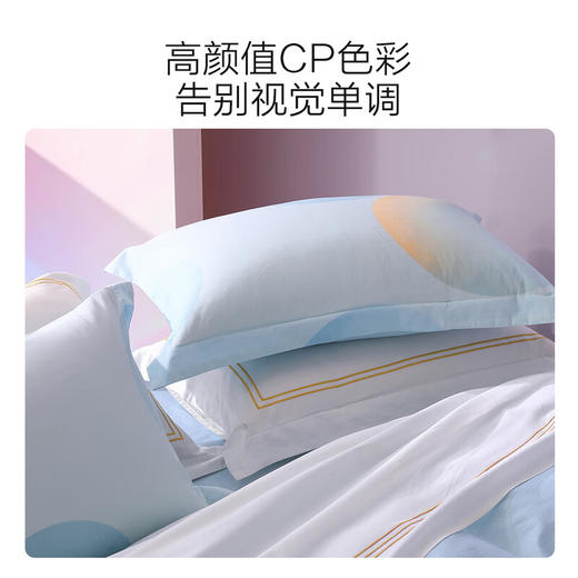 水星家纺全棉四件套梦之泡影 商品图3