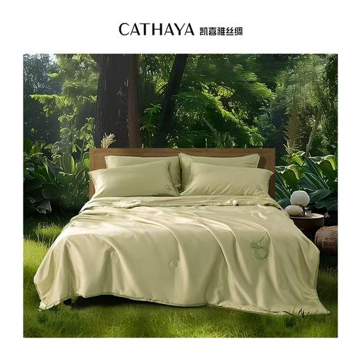 STJINGx凯喜雅| 凯喜雅迎夏被[特价品] 商品图0