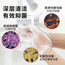 OVDL抑菌洗手液500ml 温和洁净去污泡沫丰富易冲洗樱花香成人家用通用 /个人护理 /身体护理 /洗手液
