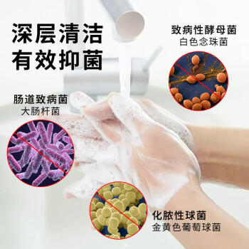 OVDL抑菌洗手液500ml 温和洁净去污泡沫丰富易冲洗樱花香成人家用通用 /个人护理 /身体护理 /洗手液 商品图0