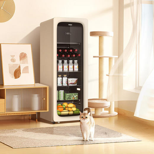海尔（Haier）【小红花套系】133升家用客厅办公室冷藏柜冰吧茶叶饮料蔬果保鲜柜囤货小冰箱DS0133LH9EY1 商品图5