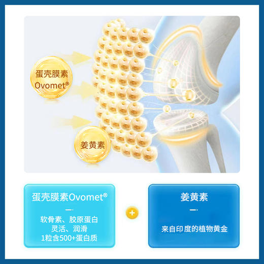 ⁶【西班牙】Plameca 氨糖胶原30粒/盒 蛋壳膜提取的天然氨糖+姜黄素+胶原蛋白 SS06-QTT-GLT 商品图3