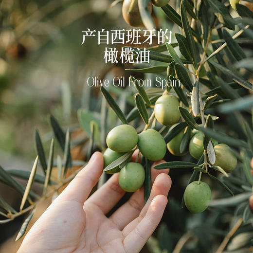 晟麦 特级初榨橄榄油 喷雾款 220ml/瓶 商品图1
