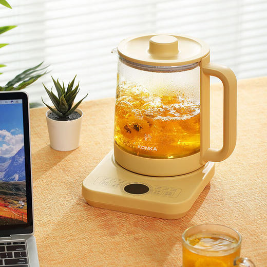 康佳（KONKA）养生壶1.5L家用多功能花茶煮茶壶电热水壶 KYSH-1501-M养生壶 1.5L 商品图2