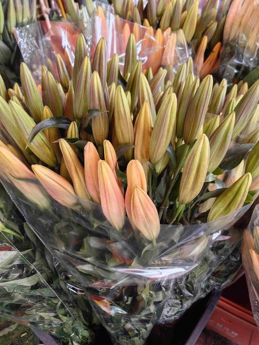 精品多头百合晚霞5支 商品图7