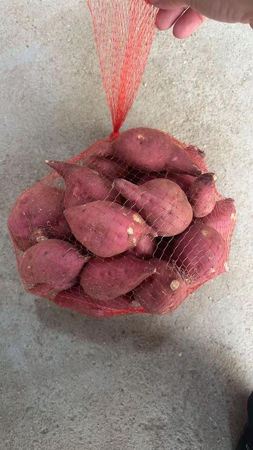 海南小小香薯9.8元1袋约3斤左右，次日到 商品图7