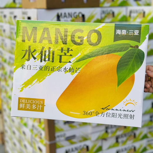 【北纬水仙芒】北纬18°阳光VIP选手，糖度直接拉满18+！  自然熟到枝头才采摘，果皮泛着胭脂红，芯子里像灌了蜂蜜。冷藏后直接啃——夏日冰淇淋的平替，低卡还管饱！ 商品图6