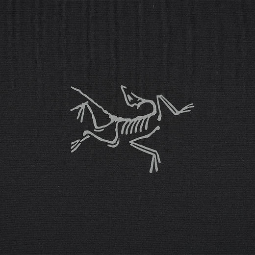 【超惠秒】ARC’ TERYX 始祖鸟 男士侧字左胸徽标logo 短袖T恤12352 商品图4