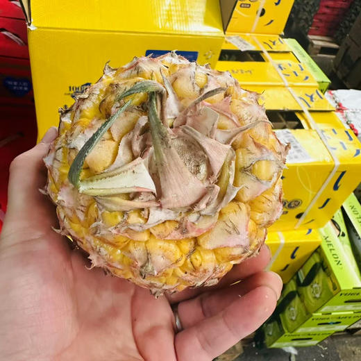 芒果凤梨超甜，口感一级棒 到货了，糖度17°+ 甜度高，凤梨香味浓郁，果肉细腻爽滑，口感特别棒！ 商品图2