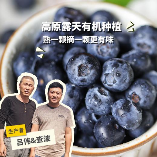 有机云南蓝莓| 合作生产*Organic blue berry | Coproduction 商品图0