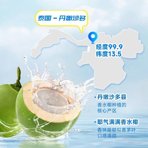 耶气满满 1000ml/瓶 100%椰子水0添加蔗糖电解质水泰国香水椰孕妇可喝 商品图4