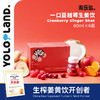 有乐岛/一口蔓越莓生姜饮 约300颗蔓越莓生榨红色莓果力量 商品缩略图1