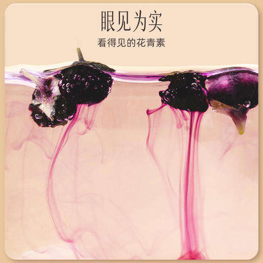 【官方正品】云南白药有这一方黑枸杞250g青海原产地黑果枸杞干泡水富含花青素 商品图2