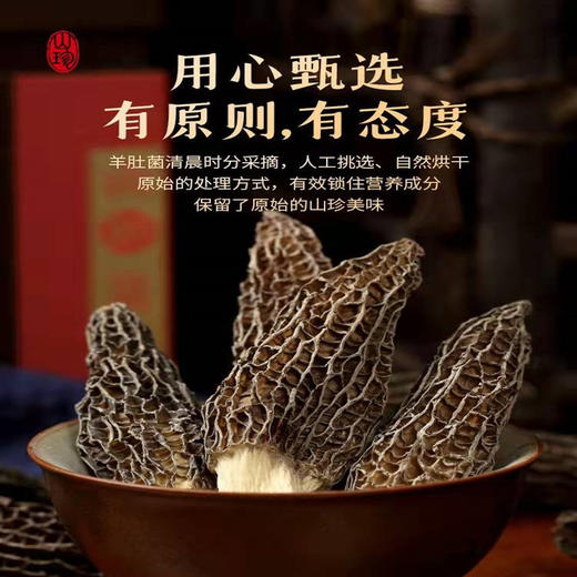 云南杨栈记特级羊肚菌50g/罐 商品图2
