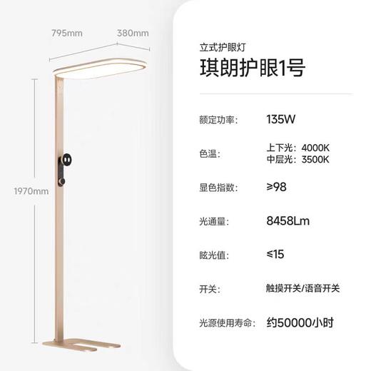 (包邮)琪朗SunnyRead护眼灯大路灯1号 G2 商品图0