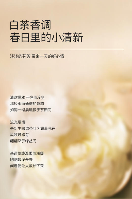 澳洲Malory茶靡香氛酵素去污洗衣液  2kg/瓶 商品图4