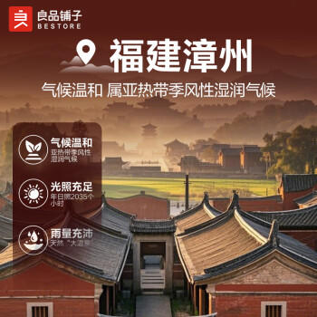 良品铺子原味肉脯100g*5袋靖江风味高蛋白鸡肉脯鸡肉干肉干肉脯 商品图3