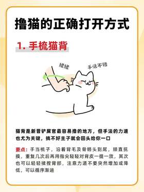 撸猫🐈的正确打开方式