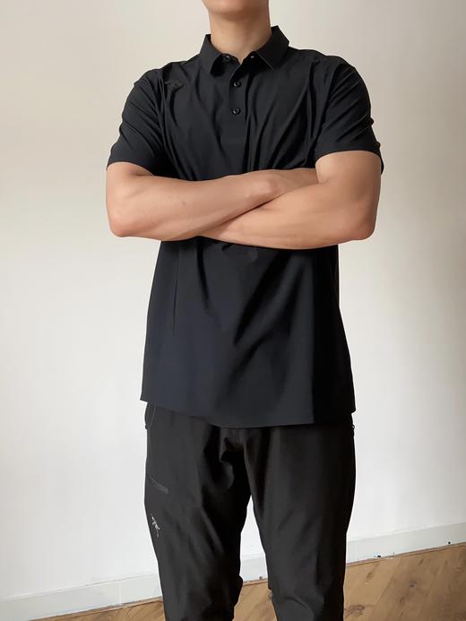 点此购买 迪桑特夏季男士经典三粒扣翻领短袖POLO衫 yw 319072 商品图2