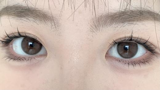 DeerBell日抛美瞳 浅浅棕 14.2mm 商品图0