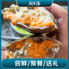迎端午·正宗三门青蟹 商品缩略图3