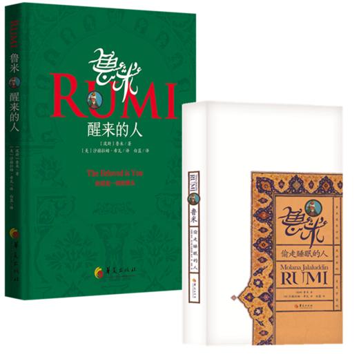 【益品书屋】鲁米：偷走睡眠的人与醒来的人  华夏出版社 商品图0