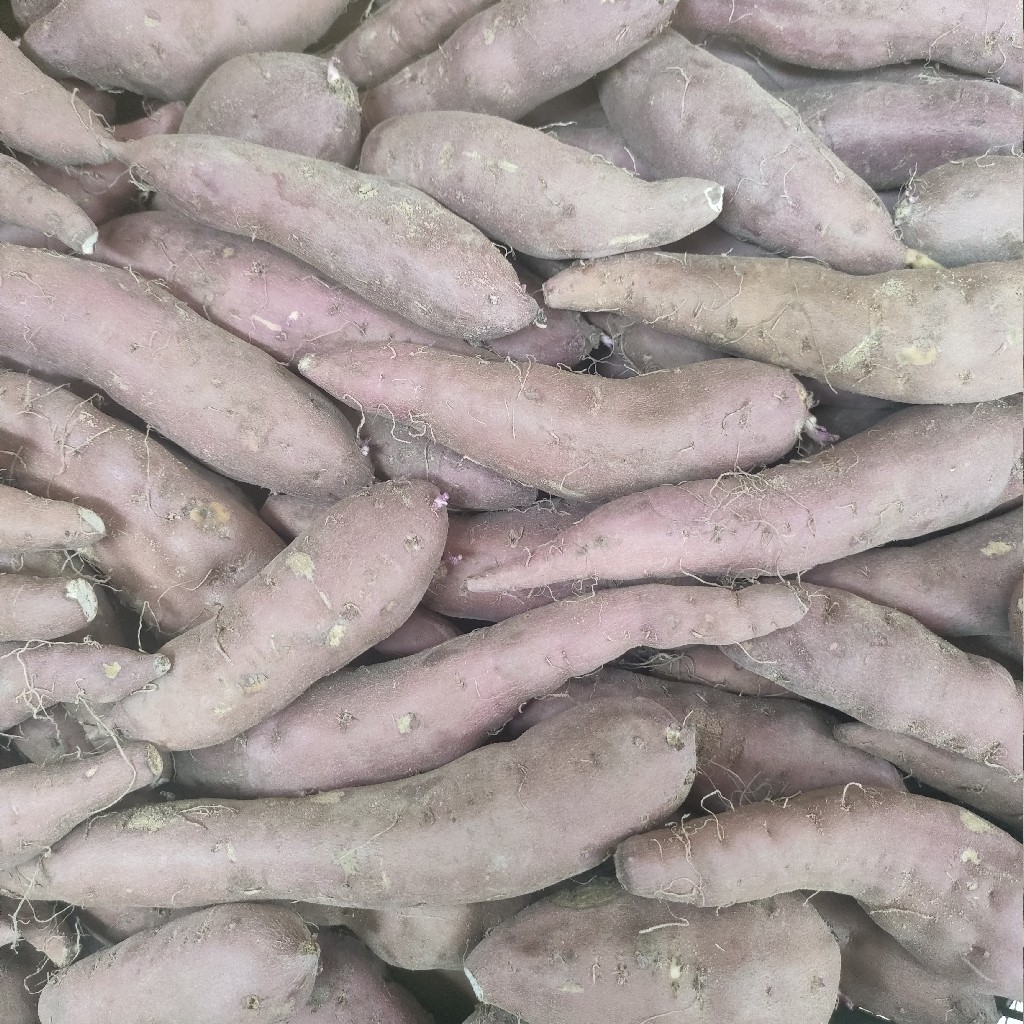 红薯桥头地瓜每公斤