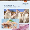 广东潮州杨栈记即食原味鱿鱼丝200g/罐 商品缩略图4