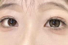 LuLuAlice半年抛美瞳 可可脆 14.5mm