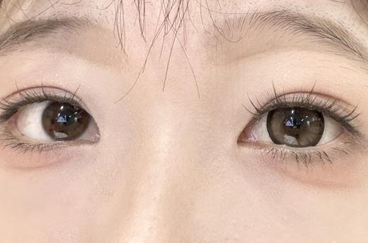 LuLuAlice半年抛美瞳 可可脆 14.5mm 商品图0