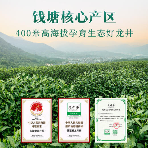 【2025新茶】艺福堂茶叶钱塘龙井报款龙井茶125g1包/*2包龙井绿茶春茶 商品图5