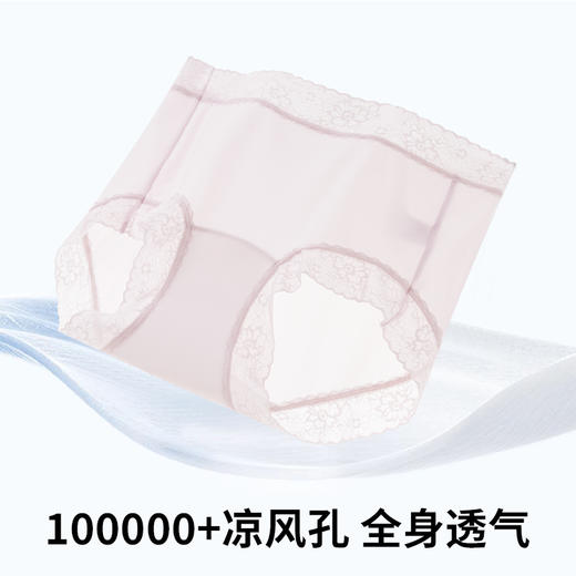 【69.9元8条】草本初色山茶花香氛内裤85027款 商品图1