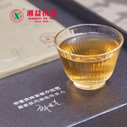 安化黑茶｜湘益2024年九龙池·骁野典藏茯砖茶950ｇ 商品图3