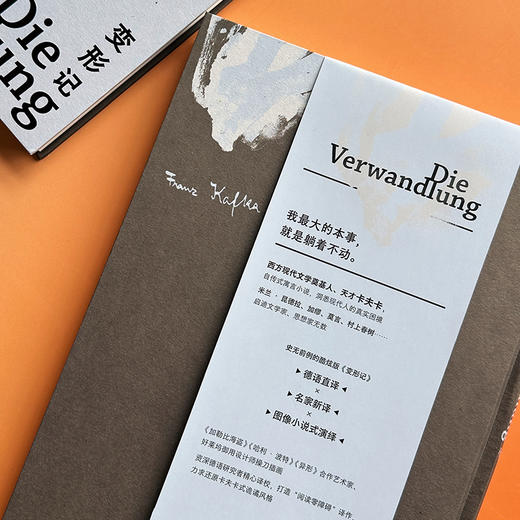 变形记（插图珍藏版） 名家名译名画 收录传世插画 商品图1