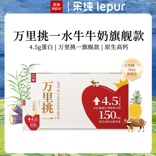 【乐纯上新】万里挑一水牛牛奶4.5g蛋白迷你装高钙奶125ml 商品图0