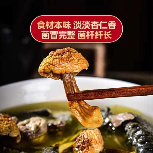 云南杨栈记臻选姬松茸150g/袋 商品图2