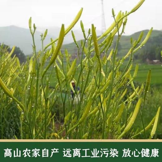 云南杨栈记臻选黄花菜150g/袋 商品图2