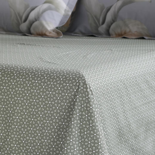 水星家纺全棉抗菌四件套——清风有信200*230 商品图4