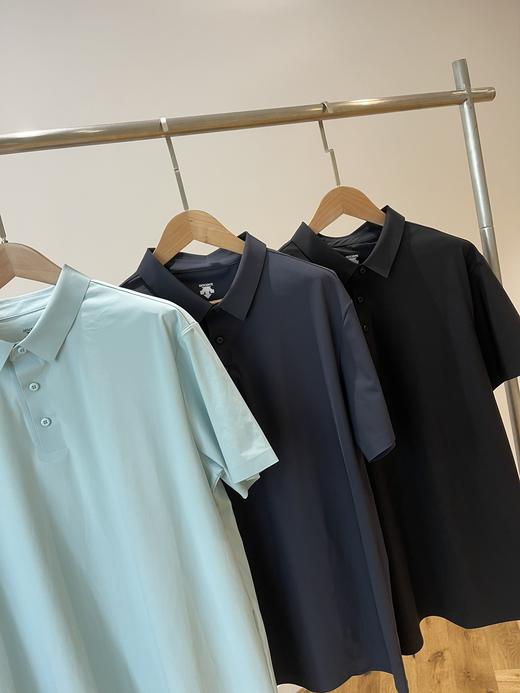 点此购买 迪桑特夏季男士经典三粒扣翻领短袖POLO衫 yw 319072 商品图8