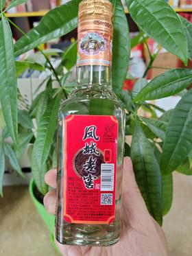 凤城老窖小凤 36度浓香 小陈酿 200ml
