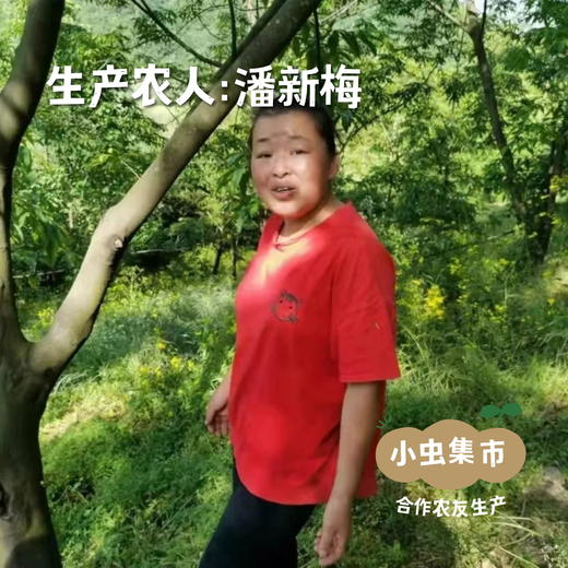 生态梅干菜 250g/袋 | 合作农友生产，产自杭州天目山，生产者：潘新梅 &【公平贸易农人定价】 商品图3