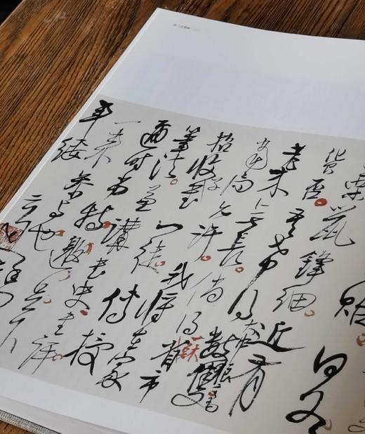 绝版钜惠！！国家美术馆捐赠与收藏系列：《高二适墨迹》，1函2册，8开，布面精装，高二适著，吴为山编，上海雅昌制版、北京雅昌印刷，江苏凤凰美术出版社2016年一版一印，530页，定价2280，售价880 商品图7