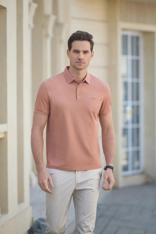 男装25春夏新品休闲POLO短袖2219-8198 商品图0