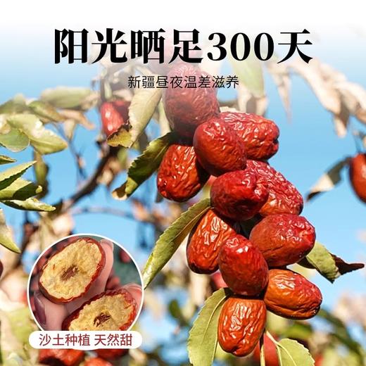 在菌屋 精选新疆特级大枣400g/罐 皮薄无渣 肉厚香甜 商品图3