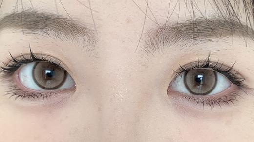 DeerBell日抛美瞳 乌龙茶 14.5mm 商品图0