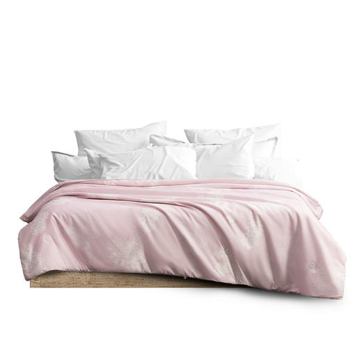 水星家纺清雅丝韵抗菌蚕丝被200*230 商品图0