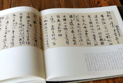 绝版钜惠！！国家美术馆捐赠与收藏系列：《高二适墨迹》，1函2册，8开，布面精装，高二适著，吴为山编，上海雅昌制版、北京雅昌印刷，江苏凤凰美术出版社2016年一版一印，530页，定价2280，售价880 商品图8